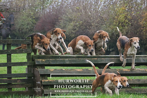 Hurworth Hunt  131