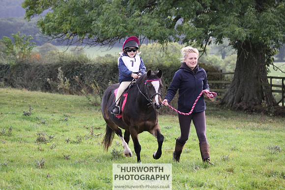 Hurworth Bilsdale Hedge Hop 016