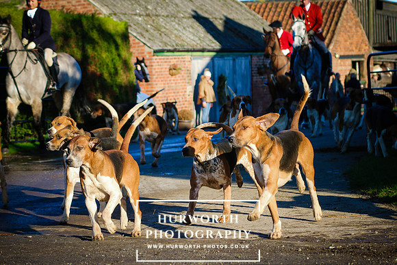 Hurworth Hunt 39