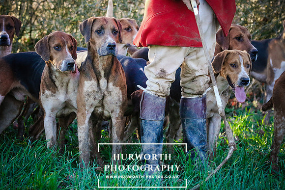 Hurworth Hunt 270