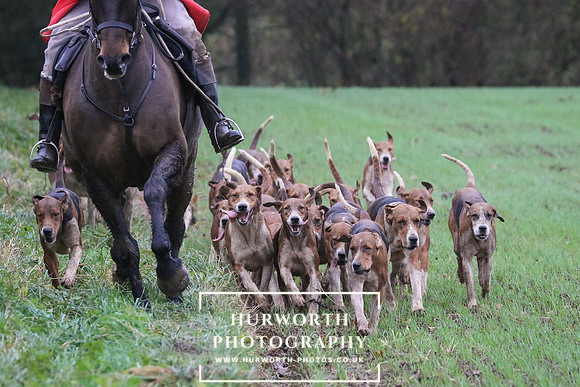 Hurworth Hunt  242