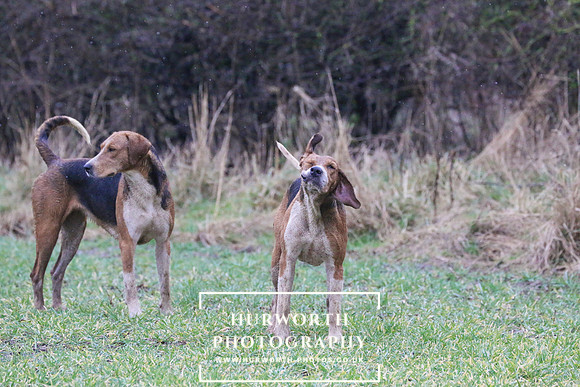 Hurworth Hunt 116