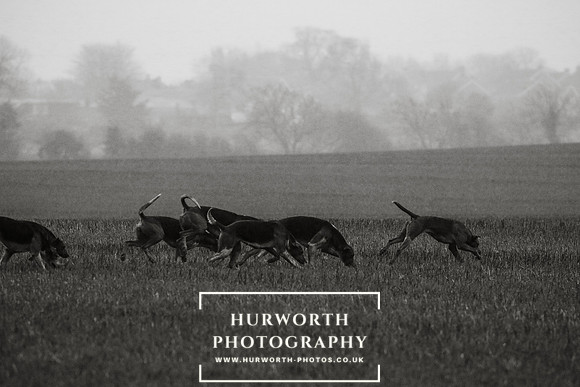 Hurworth Hunt 121