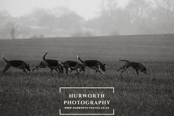 Hurworth Hunt 122
