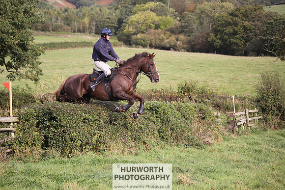 Hurworth Bilsdale Hedge Hop 653