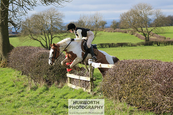 Hurworth Hunt 20