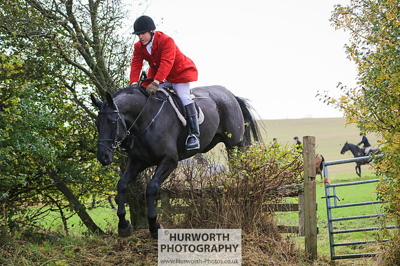 Hurworth Hunt 299