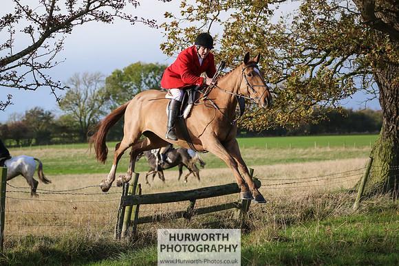 Hurworth Hunt 435