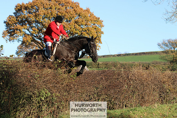Hurworth Hunt 207