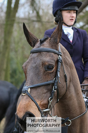 Hurworth Hunt 290