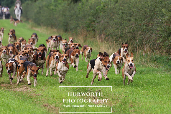 Hurworth Hunt 431
