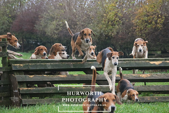 Hurworth Hunt  125