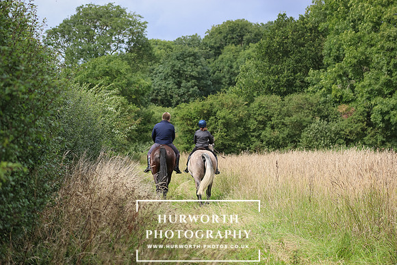 Hurworth Hunt 40