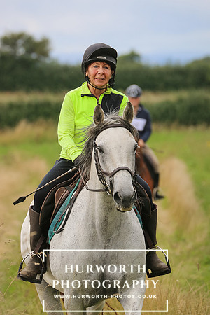 Hurworth Hunt 160