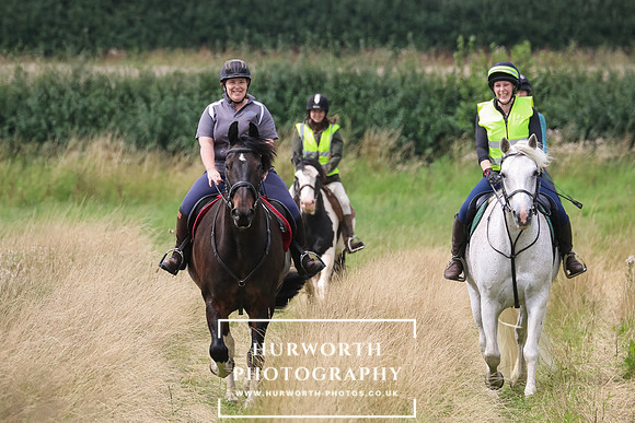Hurworth Hunt 203