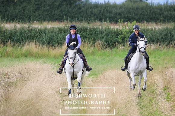 Hurworth Hunt 223