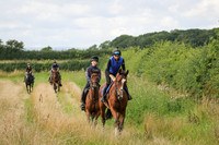 Hurworth Hunt 257