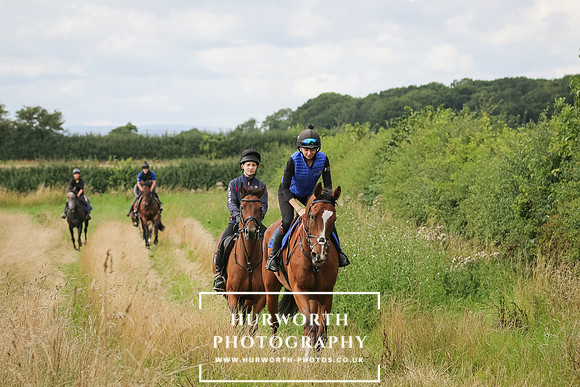 Hurworth Hunt 257