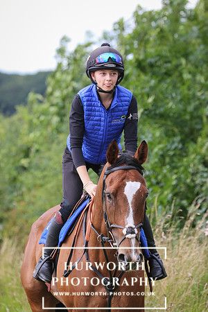 Hurworth Hunt 260