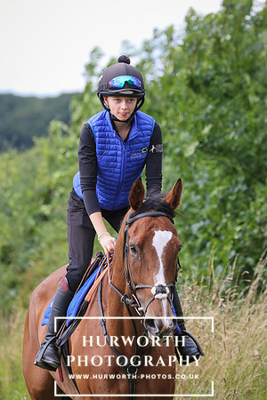 Hurworth Hunt 259