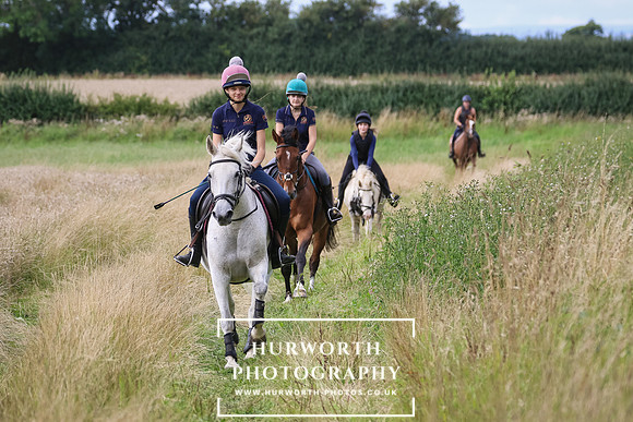 Hurworth Hunt 243