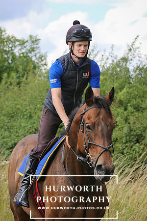 Hurworth Hunt 270