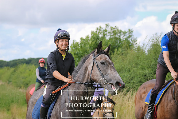 Hurworth Hunt 271