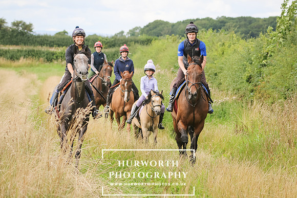 Hurworth Hunt 264