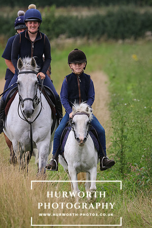 Hurworth Hunt 312