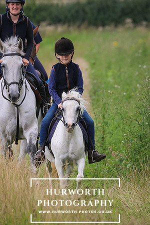 Hurworth Hunt 313