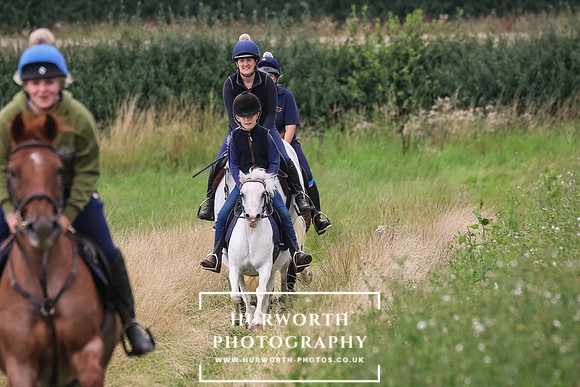 Hurworth Hunt 308