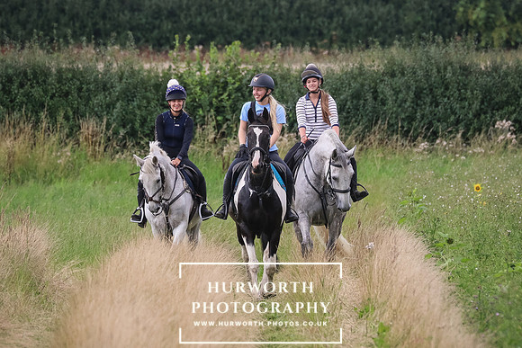 Hurworth Hunt 332