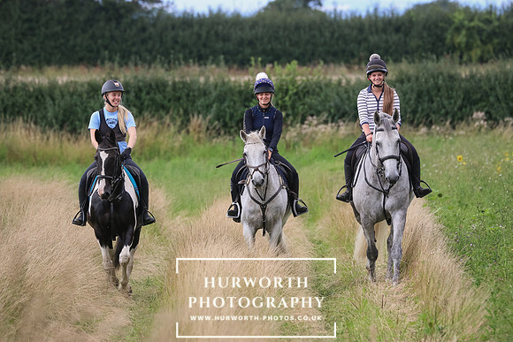 Hurworth Hunt 334