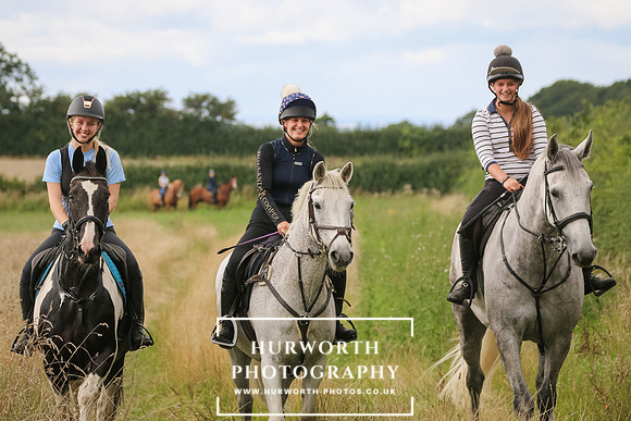 Hurworth Hunt 352