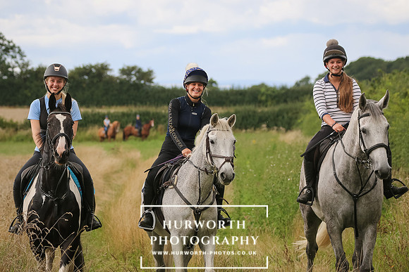 Hurworth Hunt 353