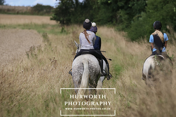 Hurworth Hunt 364
