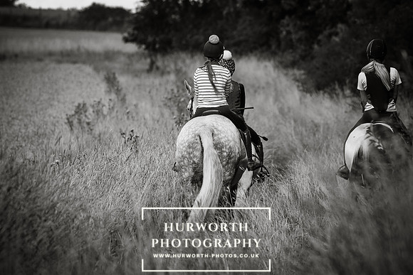 Hurworth Hunt 365