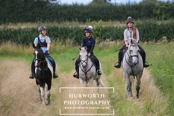 Hurworth Hunt 337