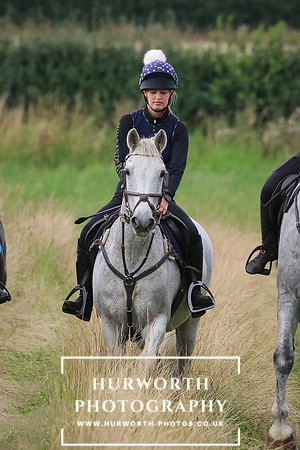 Hurworth Hunt 341