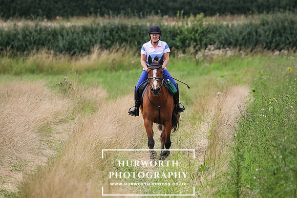 Hurworth Hunt 378