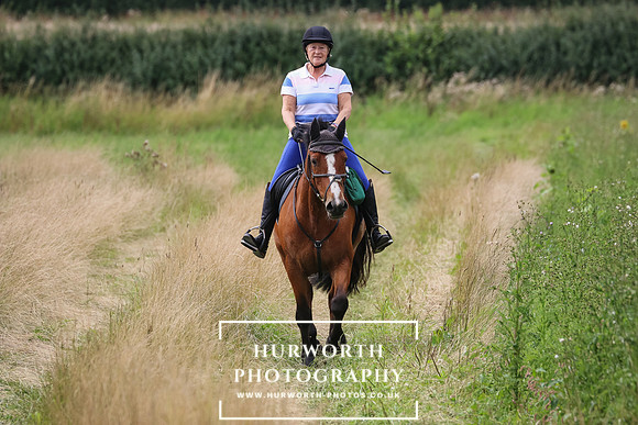 Hurworth Hunt 382