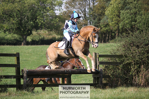Hurworth Bilsdale Hedge Hop 320