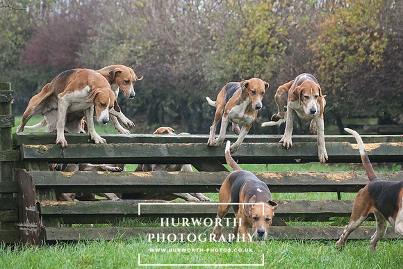 Hurworth Hunt  128