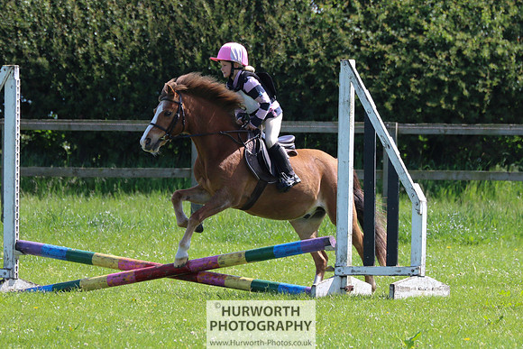 Hurworth Show Cross 078
