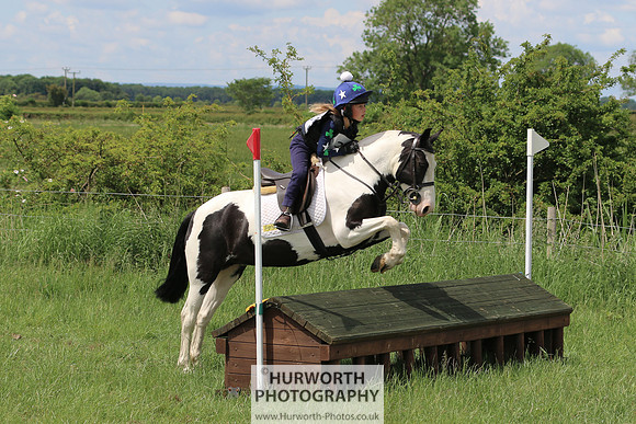Hurworth Show Cross 101