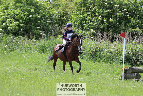 Hurworth Show Cross 104