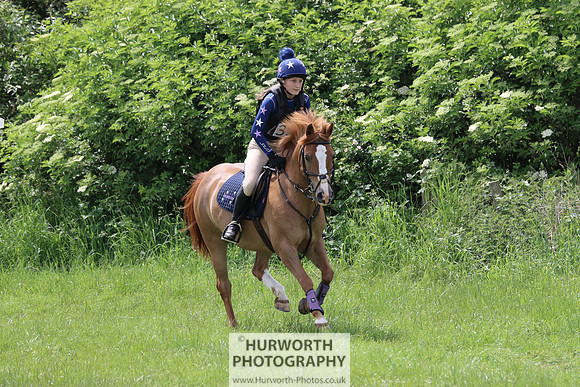 Hurworth Show Cross 111