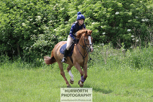 Hurworth Show Cross 112
