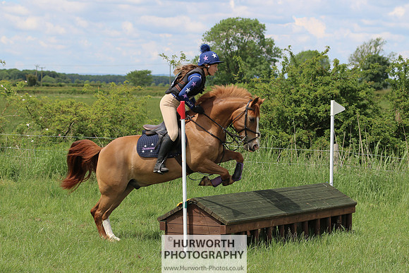 Hurworth Show Cross 115