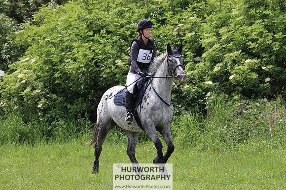 Hurworth Show Cross 120